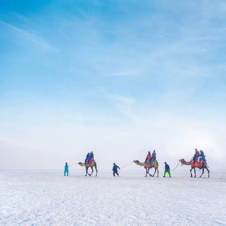 1 night 2 days Kutch tour package